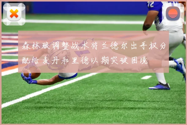森林狼调整战术将兰德尔出手权分配给麦丹和里德以期突破困境